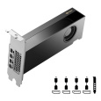 PNY VGA NVIDIA RTX 2000 ADA 16G, 16G GDDR6, 4xmDP