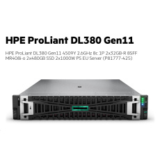 HPE PL DL380g11 4509Y (2.6/8C) 2x32G (p64706) 8SFF MR408i-o 2x480G 2x1000W 4x1Gb NBD333 Smart Choice