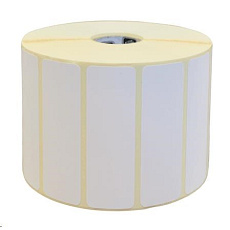 Zebra Z-Perform 1000D, label roll, thermal paper, 105x162mm