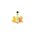 Elfbar 600 Disposable Pod Kit Pineapple Peach Mango