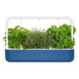 Click and Grow Smart Garden 9 chytrý květináč + 9ks kapslí se semínky tmavě modrý