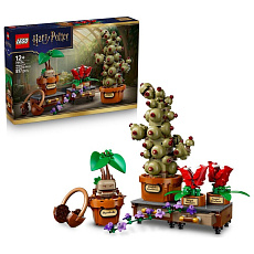LEGO Harry Potter 76474 Rostliny z hodiny bylinkářství