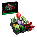 LEGO Botanicals 10309 Sukulenty