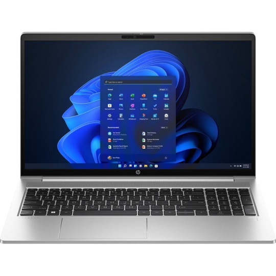 HP ProBook 450 G10 (9Y700AT#BCM) stříbrný