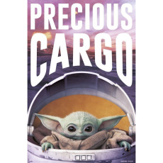 Plakát Star Wars: The Mandalorian - Precious Cargo (142)