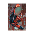 Plakát Spider-Man - Web Sling (232)