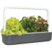 Click and Grow Smart Garden 9 chytrý květináč + 9ks kapslí se semínky šedý