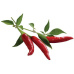 Click and Grow chilli papričky kapsle se semínky a substrátem 3ks