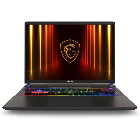 MSI Vector 16 HX AI (9S7-15M352-411) šedý 