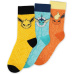 Ponožky Pokémon - Eevee Evolution 39/42 (3 pack)