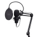 TRUST mikrofon GXT270 Emita II s nastavitelným ramenem, USB-C, černá