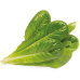 Click and Grow římský salát kapsle se semínky a substrátem 3ks