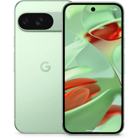 Google Pixel 9 - 128GB Wintergreen, USA