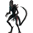 Soška Hot Toys Alien: Romulus Movie Masterpiece Action Figure 1/6 Scorched Xenomorph 44 cm