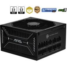 MSI MAG A1000GLS PCIE5