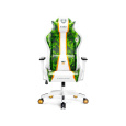 Diablo X-One 2.0 Craft Normal Size herní židle bílo-zelená