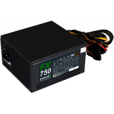 EVOLVEO FX 750 750W bulk