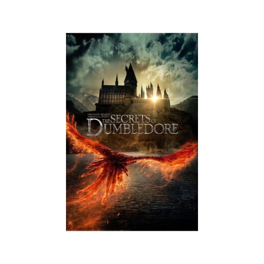 Plakát Fantastic Beasts - The Secrets of Dumbledore (65)