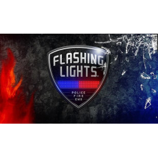 Flashing Lights - Police Fire EMS (PC) klíč Steam