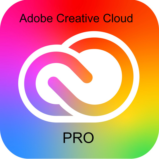 Adobe Creative Cloud Pro PLUS for teams MP ML (+CZ) Government 1 User, 12 Months, Level 3, 50-99 Lic Adobe Creative Cloud Pro PLUS for teams MP ML (+CZ) Government 1 User, 12 Months, Level 3, 50-99 Lic