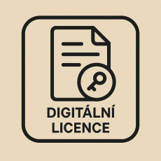 PAC-MAN 256 (PC) klíč Steam