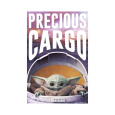 Plakát Star Wars: The Mandalorian - Precious Cargo (249)