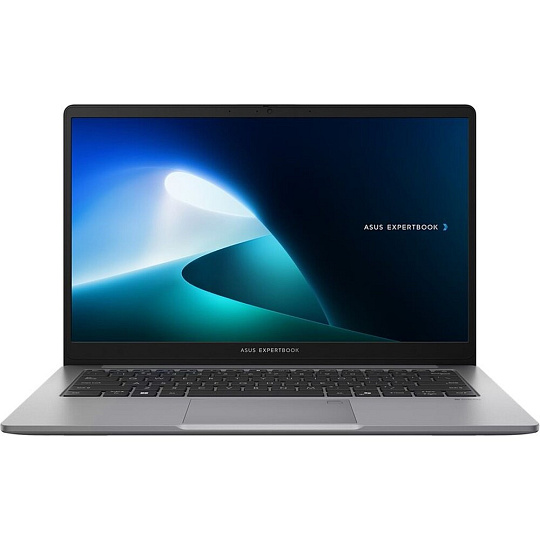 ASUS ExpertBook P1 (P1403CVA-S6C38512X) šedý
