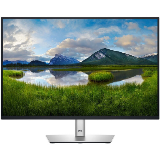 Dell P2425 monitor 24"