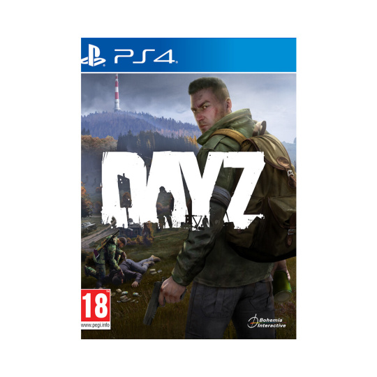 DayZ (PS4)