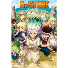 Plakát Dr. Stone - Group (36)