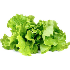 Click and Grow zelený salát kapsle se semínky a substrátem 3ks