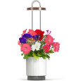 Click and Grow Smart Garden 1 HydroVase by Ermonix chytrý květináč bílý
