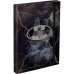 Desky na školní sešity BAAGL A4 Batman Storm